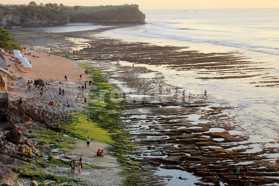 인도네시아,발리,발랑안,발랑안해변,썰물,해변,바닷가,indonesia,bali,balangan,balanganbeach,beach,ebb,ebbtide,greenbeach,녹색해변,해변,바다,beach,sea