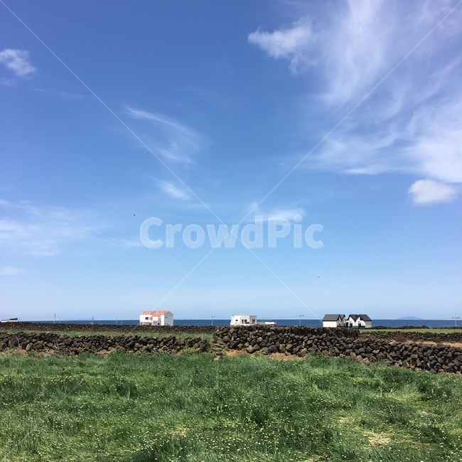 제주도,jeju,밭,시골,풍경