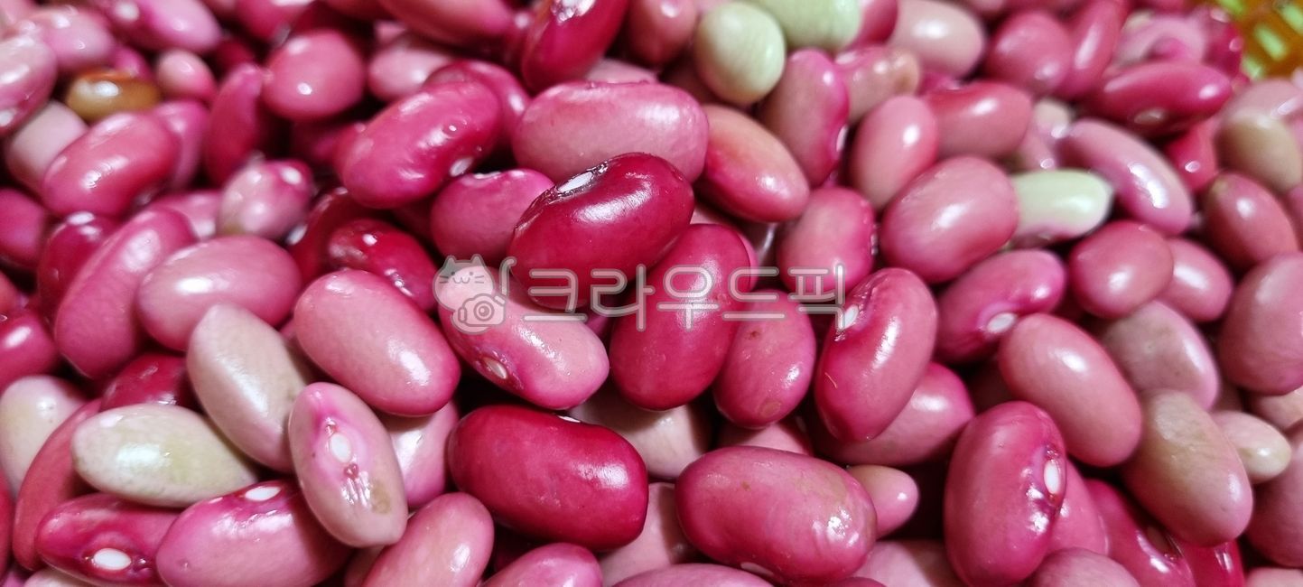 강낭콩,붉은색,핑크색,콩,bean,음식,food,vegetable,soy