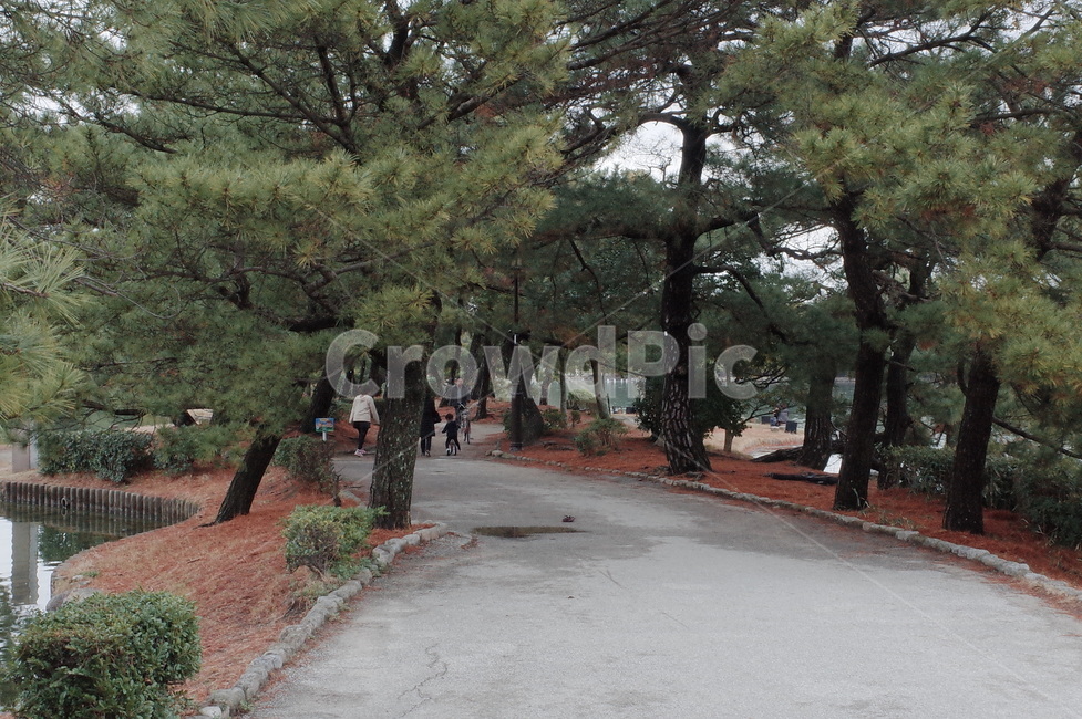 plant,식물,tree,나무,treetrunk,나무줄기,human,인간,person,사람