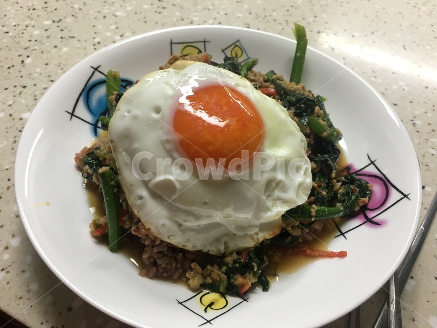 계란,계란후라이,시금치,덮밥,음식,요리