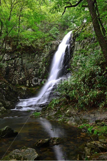 water,물,강,nature,자연,outdoors,옥외,waterfall,폭포,담양,용연계곡,계곡,stream,흐름,물흐름,여름,계절,피서지
