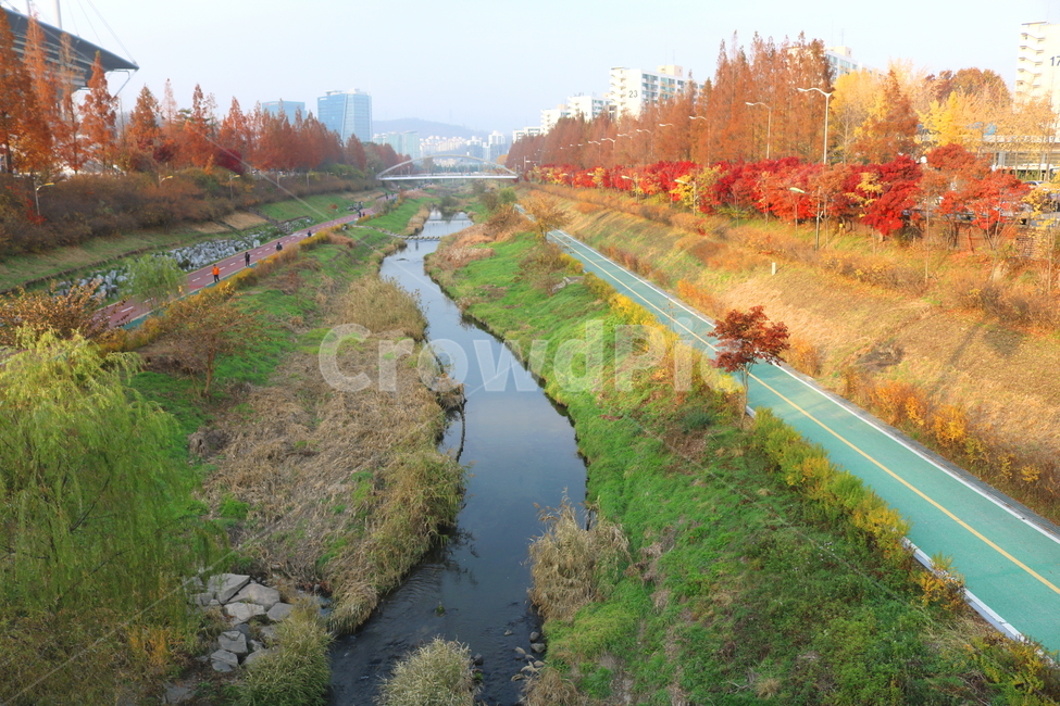 불광천,개천,산책길,가을,나무,단풍,자연,풍경,가을,계절,fall,autumn,season,도시,풍경,city,landscape,한국도시풍경,한국도시경관,korea cityscape,ditch,도랑,outdoors,옥외