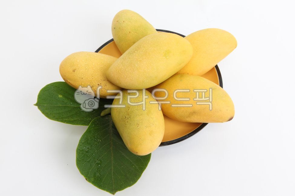 망고,애플망고,골드망고,과일,열대과일,수입과일,망고나무,카라바오망고,필리핀망고,페루망고,태국망고