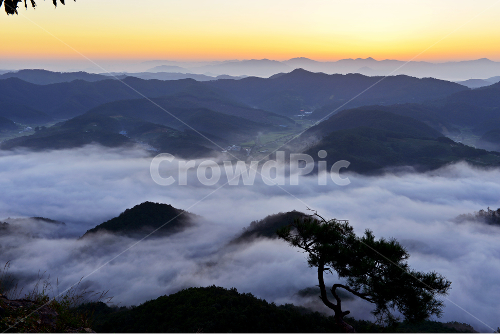 nature,자연,outdoors,임실,국사봉,운해,국사봉일출,아침,여명,해돋이,경치,경관,풍경,옥외,mountain,산,mountainrange,산맥,dawn,새벽,sky,하늘,redsky,붉은하늘,light,빛,flare,플레어,소나무,자연,풍경,nature,landscape,한국자연풍경,한국자연경관,korea nature landscape