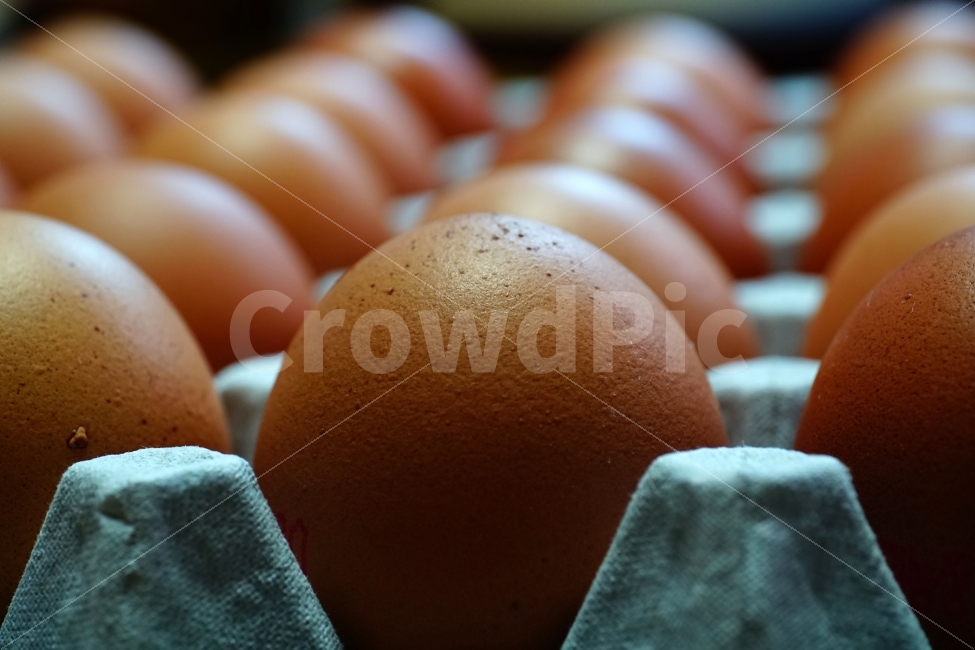 chicken,raw eggs,egg,objects,recipe,animal nature,side dish,ingredients,cooking,poultry farm,raw egg,cook,food ingredients,food,chick,grocery,thing,object