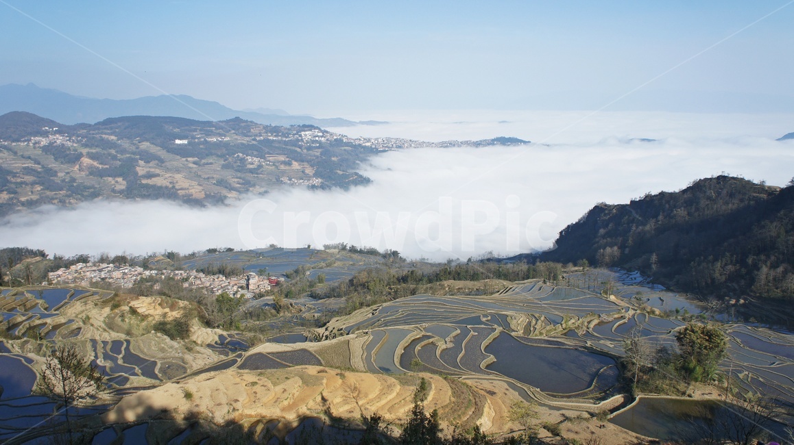 field,들,outdoors,옥외,nature,자연,landscape,경치,scenery,풍경,weather,날씨,중국,운남,원양제전,원양다랭이논,다락논,농경지,농업,농사,경작,다랭이논,자연,풍경,nature,landscape,농업,농사,agriculture,farming,farming industry