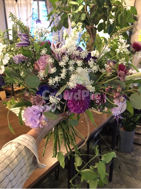 plant,식물,꽃꽂이,꽃부케,꽃,꽃다발,예쁜,꽃,flower