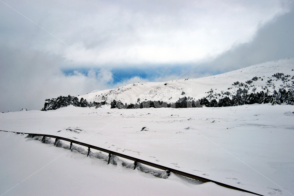 한라산,제주도,영실코스,설경,눈,겨울,설화,겨울,계절,winter,season