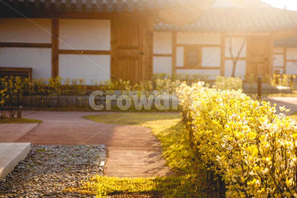 한옥,노을,감성,식물,꽃,한국전통,한국문화,korean traditional,korean culture