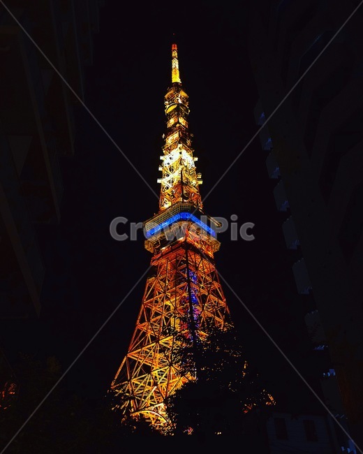 steeple,뾰족한탑,tower,탑,첨탑,spire,건축물,architecture,building,건물,nature,자연,옥외,outdoors,경치,landscape,scenery,풍경,tokyotower,tokyo도쿄타워,일본,도쿄타워,도쿄,도쿄야경,야경,밤,풍경,nightscape,night,landscape,세계랜드마크,해외랜드마크,외국랜드마크,world landmark,world tourist attraction