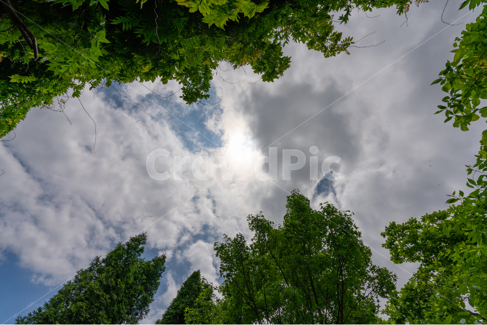 구름,하늘,푸르름,맑음,나무,cloud,sky,tree,자연,풍경,nature,landscape,weather,날씨