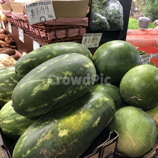 수박,watermelon,market,과일,green,그린,초록의,긴,워터멜론,시장,여름,여름과일,제철과일