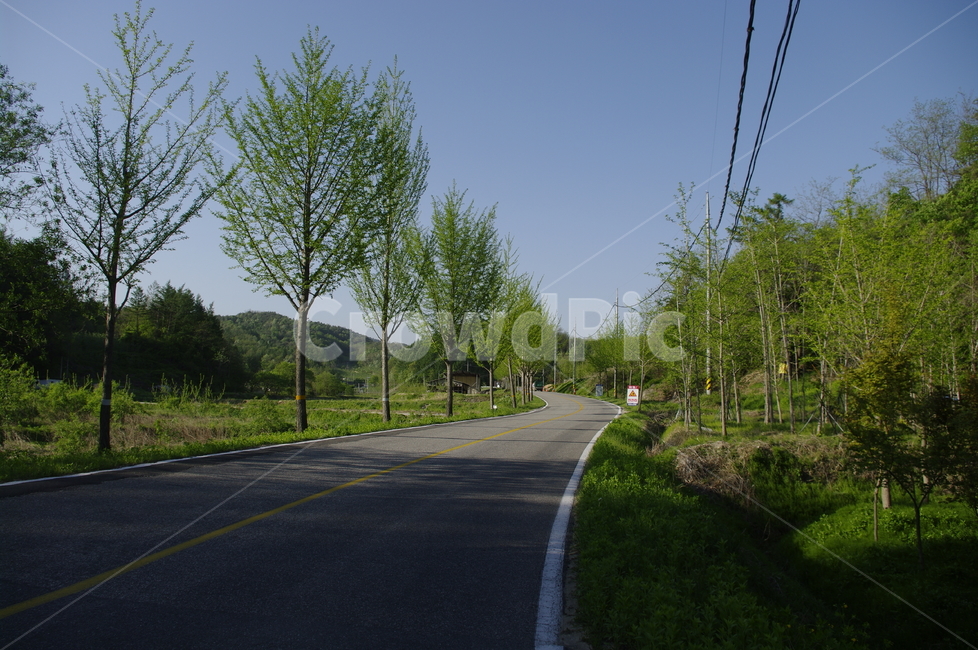 초록,신록,잎,나무,식물,plant,자연,nature,하늘,도로,가로수,자연,풍경,nature,landscape,road,asphalt,아스팔트,freeway,고속 도로,highway,고속도로