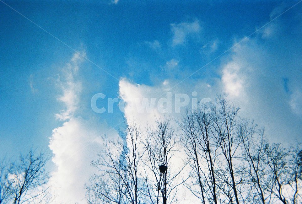 하늘,heaven,겨울,winter,감성,구름,cloud,필름