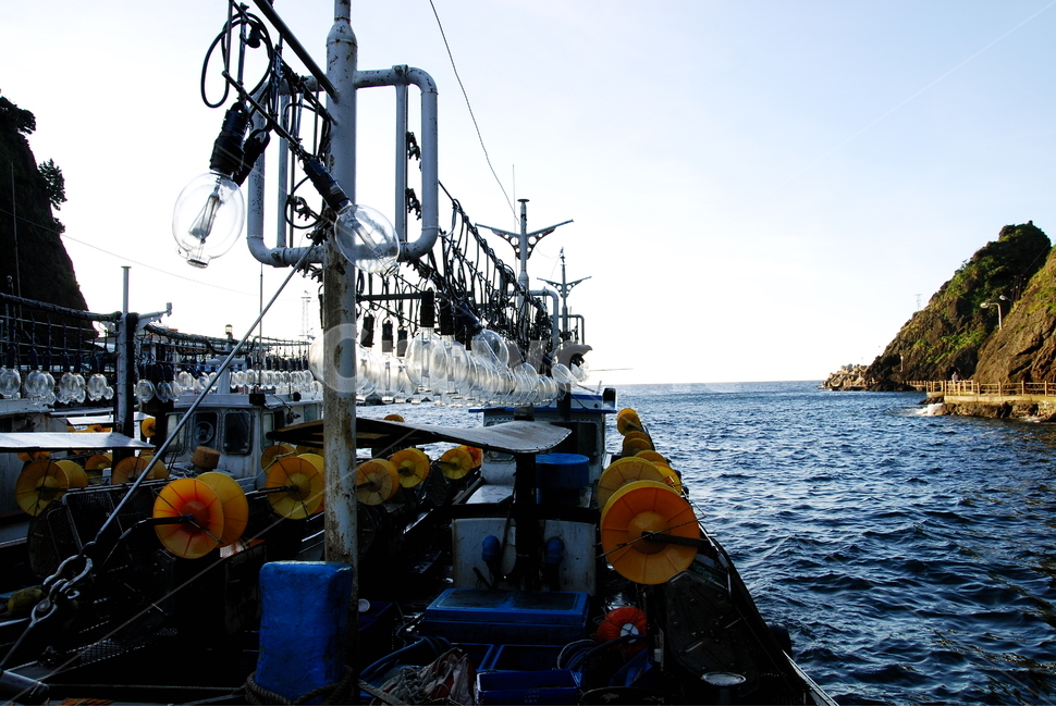 울릉도,섬,울릉군,오징어배,고깃배,저동항,산업,industry,industrial,어업,fishery,fishing industry
