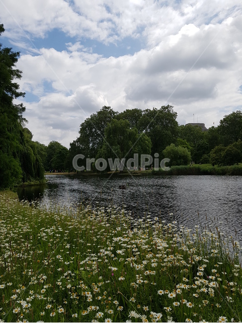 St James Park,blue sky,tree,riverside,flower