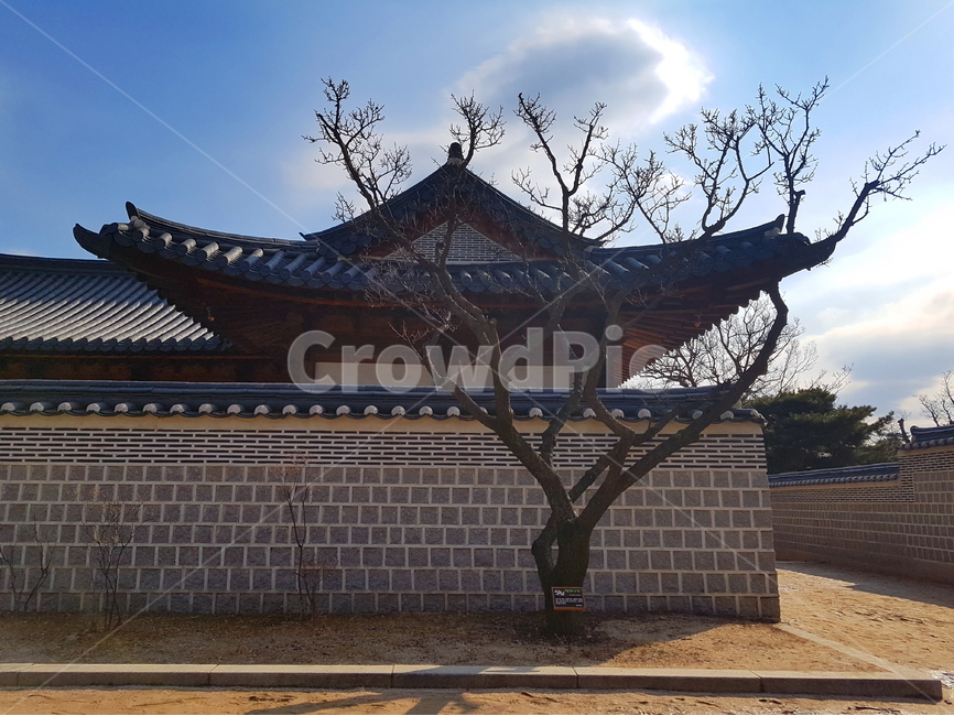 궁궐,한국의전통,나무,구름,한국의멋,기와,한옥,전통기와,담장,벽,돌담,자연,앙상한나무가지,겨울,koreantraditional,touristattraction,한국전통,koreaculture,한국전통,한국문화,korean traditional,korean culture,랜드마크,landmark,tourist attraction,한국랜드마크,한국관광지,한국명소,korea landmark,korea tourist attraction,건축물,건물외관,exterior,building,structure,architecture,construction
