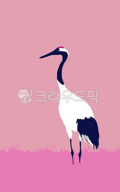 새, 학, 두루미, 동물, 날개, 사진,이미지,일러스트,캘리그라피 - WildTraveler작가