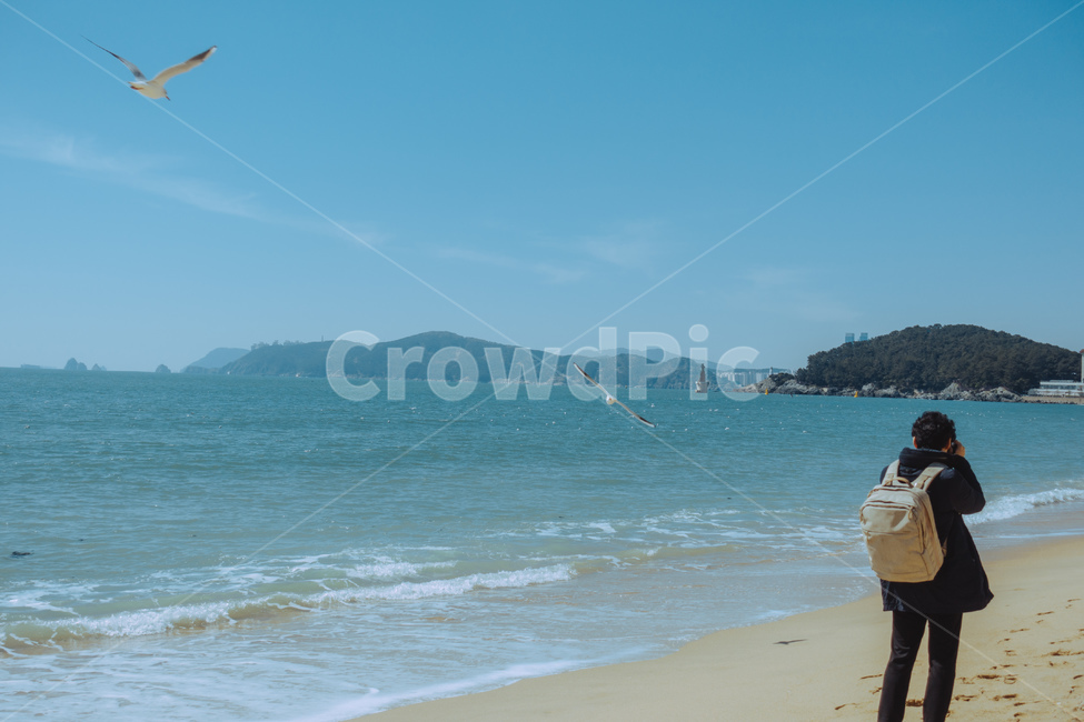 부산,광안리,바다,사진촬영,감성사진,바닷가,갈매기,부산바다,해변,바다,beach,sea,사람,인물,인간,human,person,남성,남자,man,male