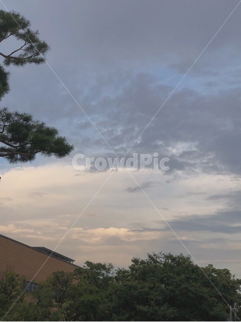하늘,구름,노을,cloud,sky,sunset,tree,outdoors,옥외,나무,식물,plant,자연,풍경,nature,landscape