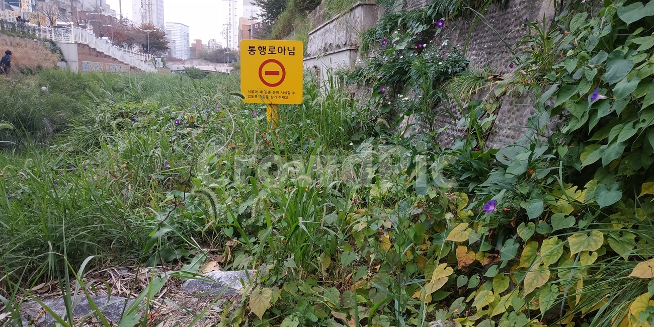 이정표,출입금지,통행로아님,표지판,진입금지