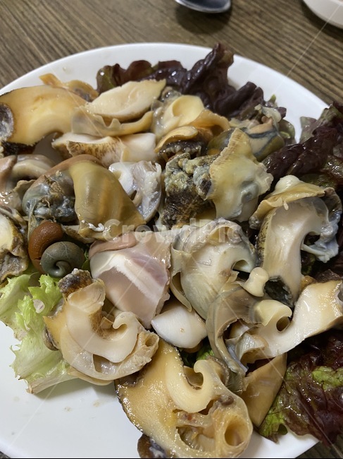food,음식,seafood,소라,해산물