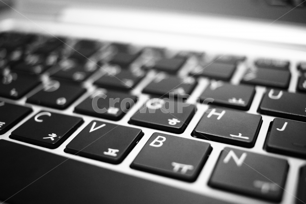 키보드,사물,연출사진,흑백,컴퓨터,감성사진,keyboard,자판,기계식키보드,노트북,labtop,desktop,데스크탑,핀,심도,카메라,배경화면,아웃포커싱,흑백,모노톤,monochrome,black and white,정보통신기술,전자기기,전자제품,it,information,technology,electronic equipment,비즈니스,사업,business,service,work,사물,물건,오브젝트,thing,object,matter