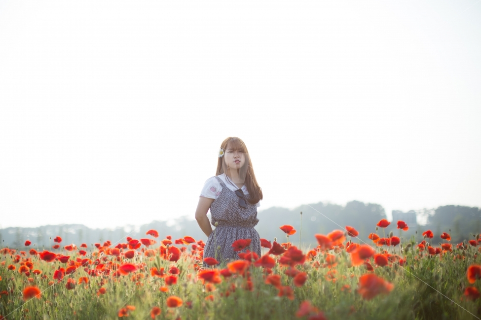 인물,풍경,꽃,여자,사람,Protrait,landscape,flower,girl,식물,자연,plants,nature,꽃,flower,사람,인물,인간,human,person,여성,여자,woman,female,lady