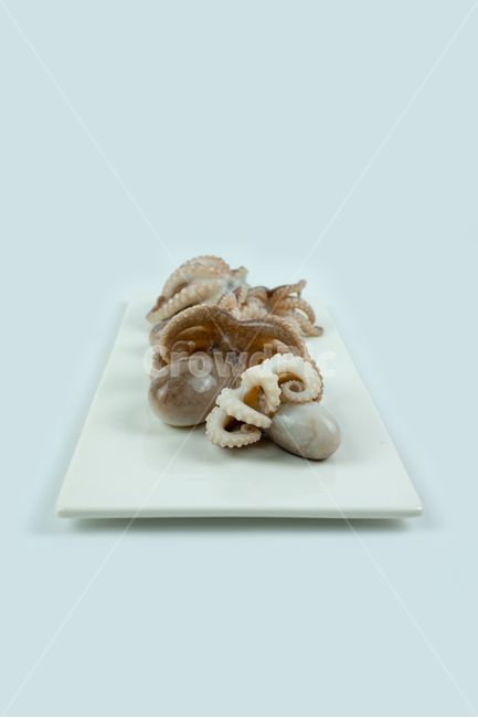 해산물,해물,낙지,주꾸미,요리재료,음식재료,어류,동물,해양생물,문어,싱싱한,신선한,요리,음식,식품,누끼