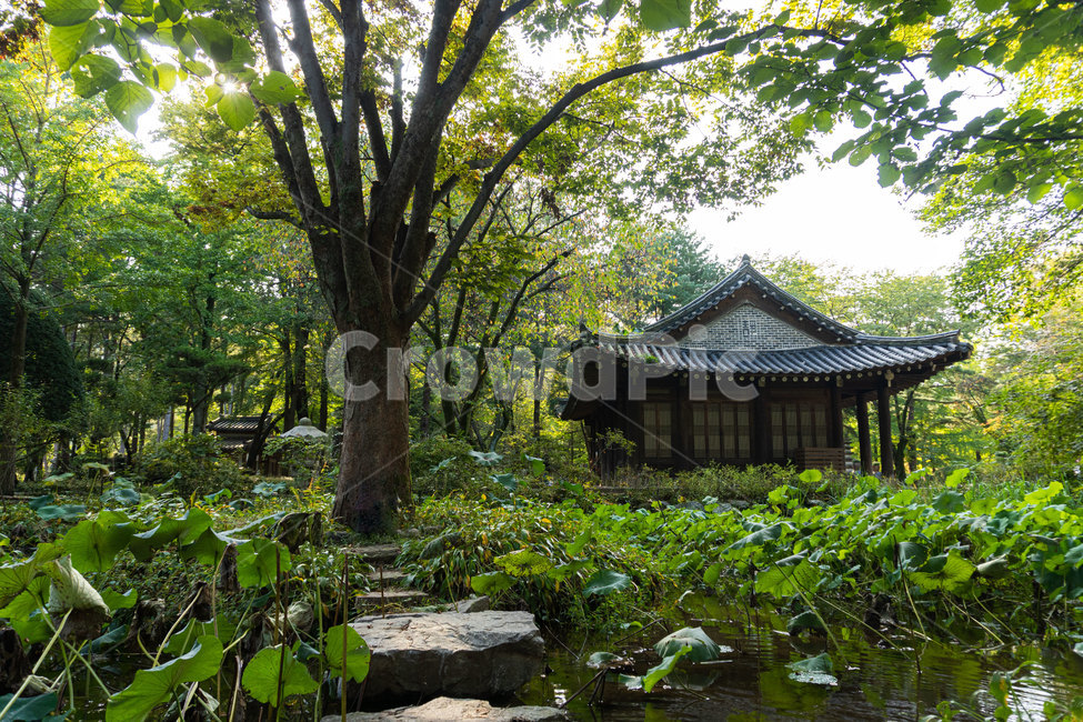 남이섬,outdoors,옥외,전통가옥,자연