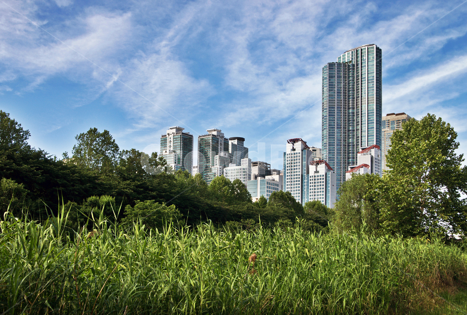 타워팰리스,도곡동,주상복합,빌딩,고층빌딩,양재천,주거지,숲,자연,도시,풍경,city,landscape,한국도시풍경,한국도시경관,korea cityscape