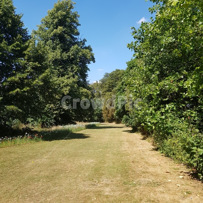 tree,나무,plant,식물,grass,잔디,green,초록,초록색