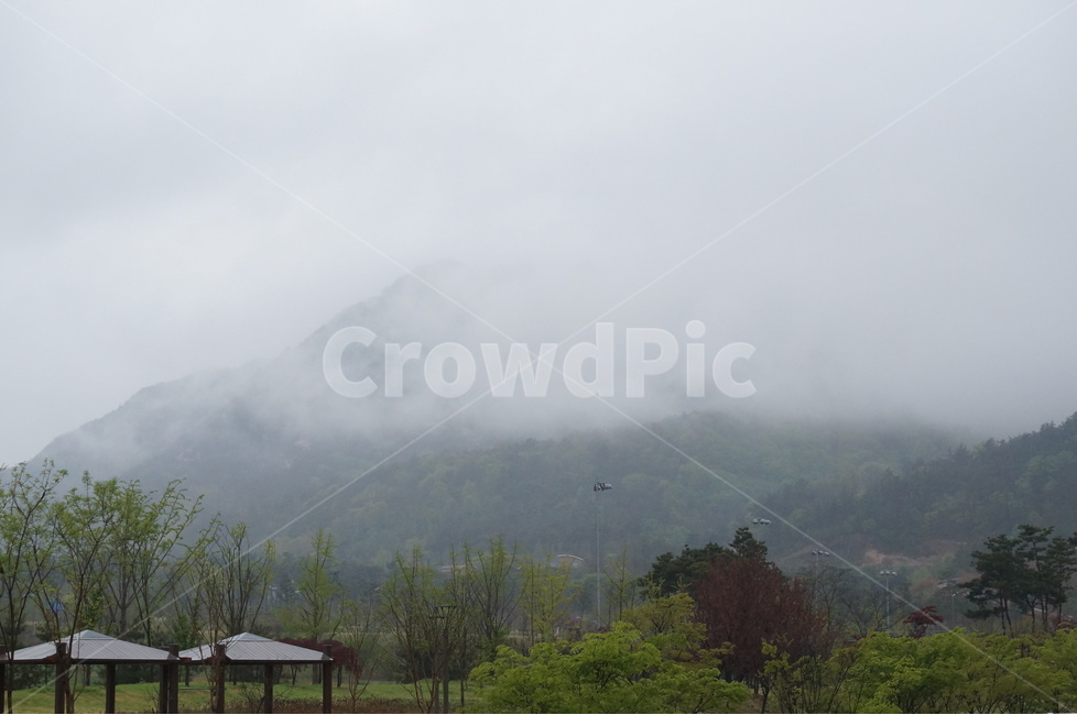 용봉산,흐림,안개,나무,낮,구름,자연,풍경,nature,landscape,weather,날씨,outdoors,옥외