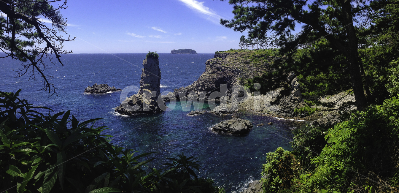 제주도,올레길,서귀포,자연풍경,대한민국