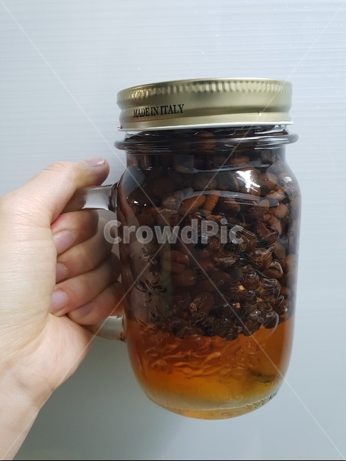 깔루아,kahlua,커피술,깔루아밀크,coffee,커피,원두,bean,roastedcoffee,술,맛있는,delicious,수제