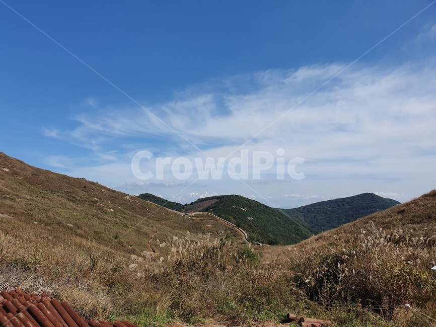 산,산정상,억새,산능선,자연풍경,언덕,hill,outdoors,countryside,nature,자연,억새밭,화왕산,구름,자연,풍경,nature,landscape,옥외
