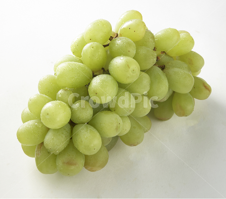 grapes,포도,과일,청포도,샤인머스캣,fruit,food,식물,자연,음식,세네카,건강,제철,제철음식,제철과일,음식,식재료,요리,food,cook,meal,dishes,food reserves