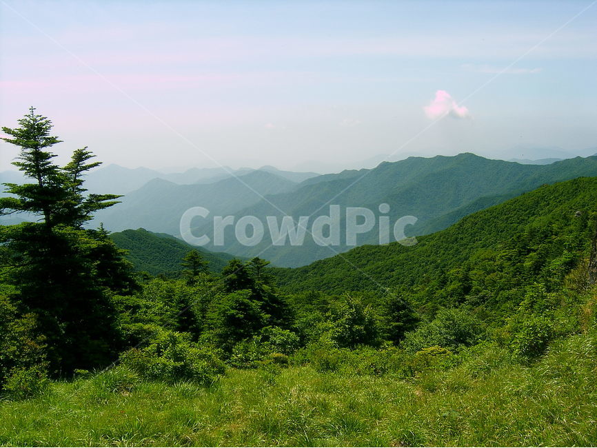 지리산,주능선,지리연봉,여름지리능선,맑은하늘지리산,자연,풍경,nature,landscape,한국자연풍경,한국자연경관,korea nature landscape,outdoors,옥외