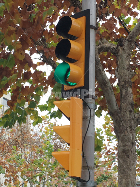 거리,street,풍경,scenery,나무,tree,생활,life,빛,light,신호등,trafficlight