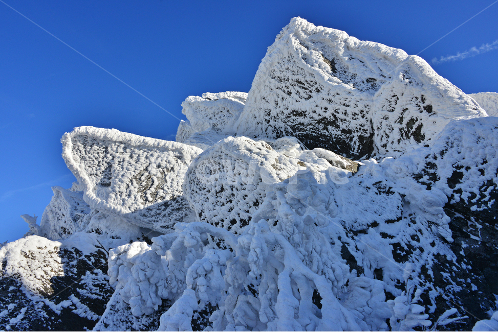 glacier,빙하,ice,빙,snow,nature,자연,landscape,경치,outdoors,옥외,향적봉,scenery,풍경,mountain,산,경관,무주,덕유산,설천봉,상제루,덕유산설경,상고대,눈,겨울,계절,중봉
