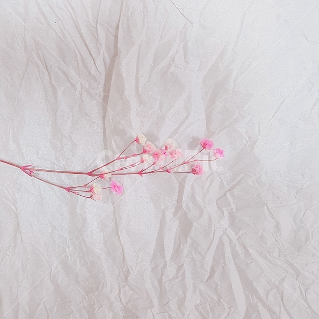 꽃,풀,조화,꽃다발,flower,bundle