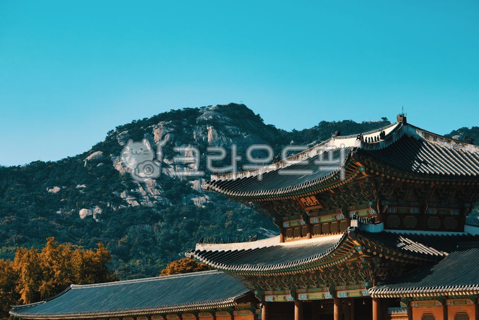 경복궁,단풍,궁,고궁,기와,단청,풍경,궁궐,한옥,전통,가을,배경화면,바탕화면,wallpaper,architecture,건축학,건물,building,한국전통,한국문화,korean traditional,korean culture,건축물,건물외관,exterior,building,structure,architecture,construction