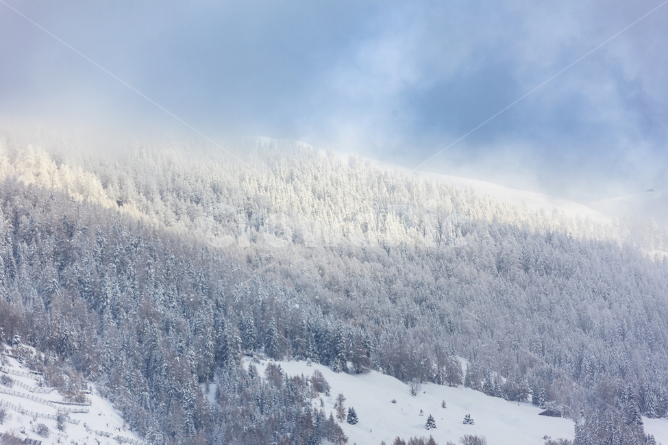 알프스산맥,스위스,겨울,눈,산,숲,구름,나무,겨울,계절,winter,season,자연,풍경,nature,landscape,해외,외국,세계,foreign,oversea,world,세계자연풍경,해외자연풍경,외국자연풍경,world nature landscape,outdoors,옥외,snow