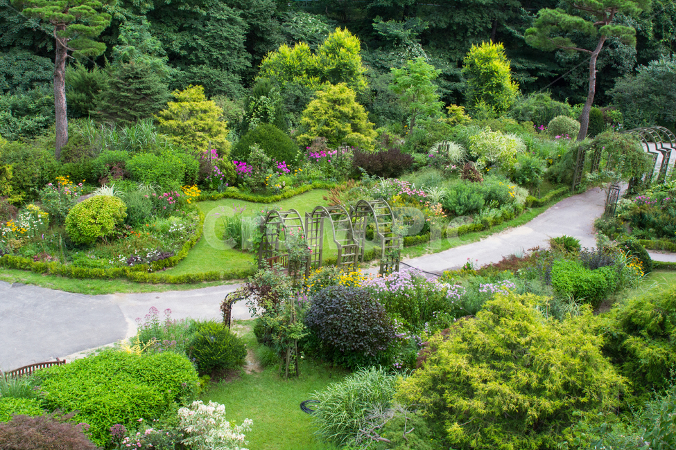 공원,정원,배경,자연,식물,꽃,나무,산책,환경,컬러풀,색상,아름다움,자연,풍경,nature,landscape,grass,잔디,plant,outdoors,옥외,garden