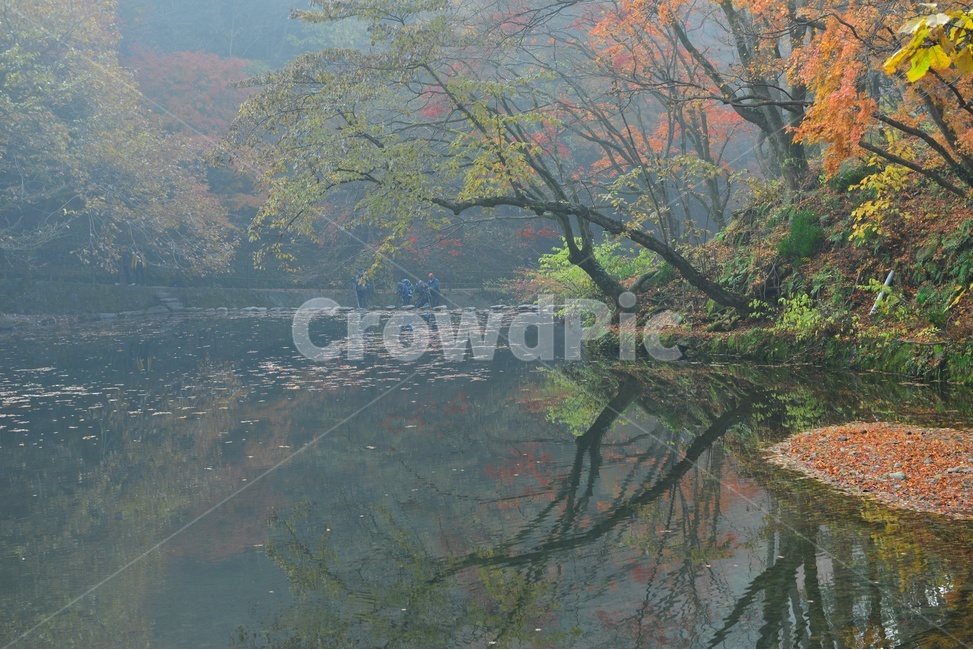 연못,반영,전남,장성,백양사,백양사가을,추색,가을,단풍,단풍잎,계절,treetrunk,나무줄기,nature,자연,outdoors,scenery,풍경,landscape,경치,plant,식물,leaf,잎,tree,나무,maple,가을,계절,fall,autumn,season,자연,풍경,nature,landscape