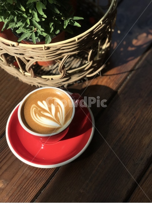 커피,라떼아트,튤립,커피아트,카페라떼,coffee,latteart,tulip,coffeeart,cafelatte,음료수,drink,beverage,커피,카페,coffee,cafe