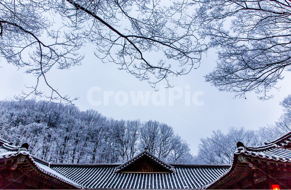 설경,기와,고택,전통,겨울,겨울,계절,winter,season,한국전통,한국문화,korean traditional,korean culture,건축물,건물외관,exterior,building,structure,architecture,construction