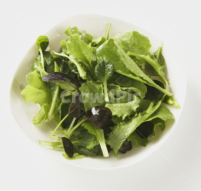 샐러드,건강,자연,salad,diet,food,다이어트,식물,어린잎,음식,식재료,요리,food,cook,meal,dishes,food reserves