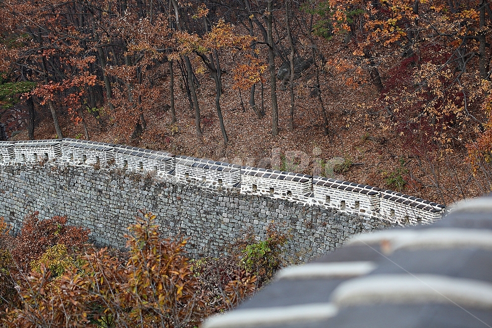 남한산성,성,성곽,단풍,낙엽,길,둘레길,숲,숲길,담,돌담,가을,자연,풍경,벽,울긋불긋,산성,식물,가을,계절,fall,autumn,season,한국전통,한국문화,korean traditional,korean culture